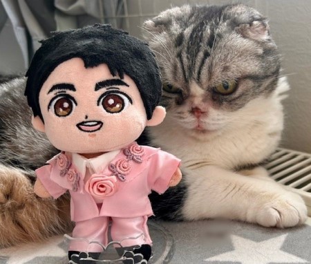 莉琉3298様　こひろみくん　ぬい服　白衣装 莉琉3298様 こひろみくん ぬい服 スパンコールコーデ 莉琉3298様 こ