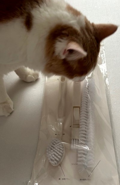 thumbnail_IMG_3329_1