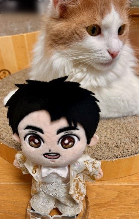 b740b7f8-0c6a-42ac-be0e-f0d88bfde179