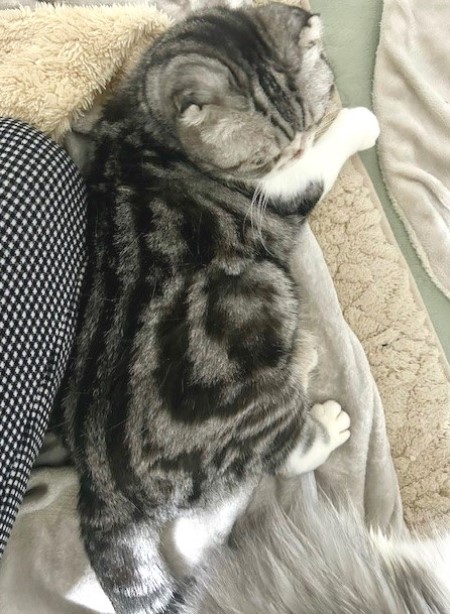 64ed7162-9766-49d9-8b2f-591134cfdbfb