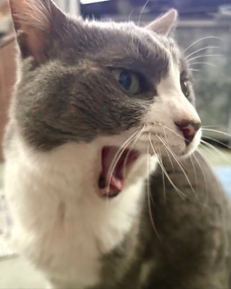 thumbnail_IMG_9088 (1)