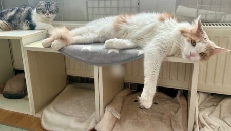 93b33384-3df2-4d63-8eb9-ee7e387fa199_1