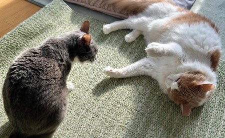 94fff095-6e24-4ea2-b491-7049cf8d6942