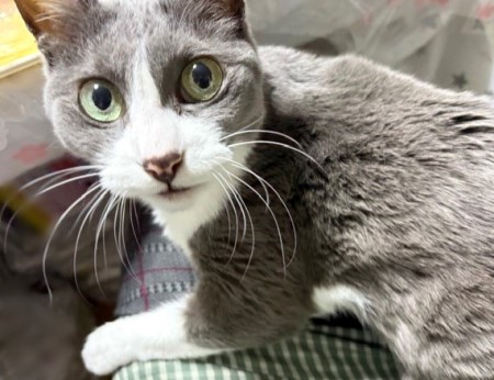 a0b1cc82-617b-4bf5-981a-c399e5bb4b78