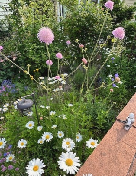 thumbnail_IMG_1530 (1)