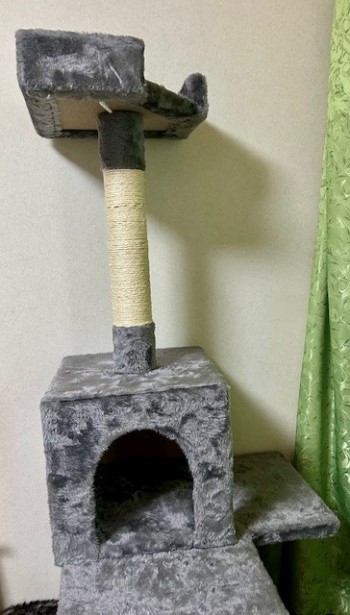 thumbnail_IMG_3196 (1)