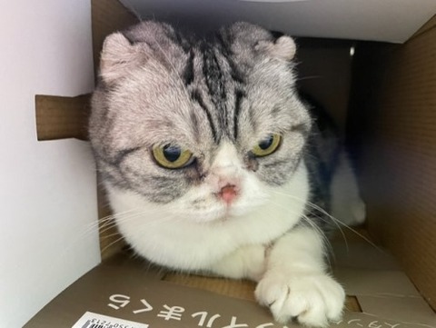 thumbnail_IMG_7157