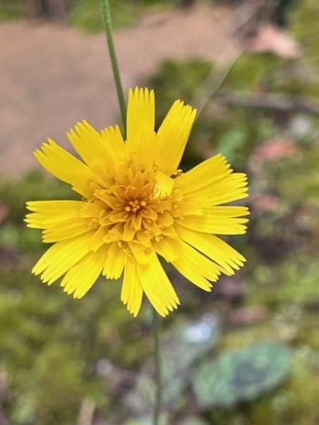 thumbnail_IMG_1328 (2)