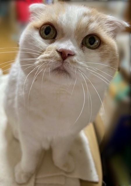 ff9b32fa-49bd-4c56-88a8-1a5fddc10467