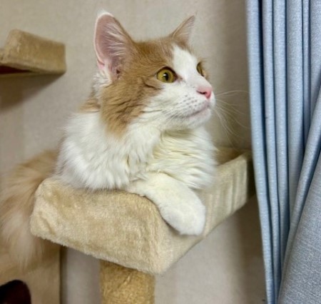 17fb0fdb-3345-4f0f-a32d-c47b87b2a841