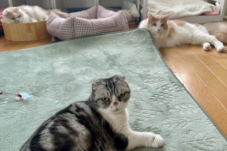 thumbnail_IMG_5178 (1)