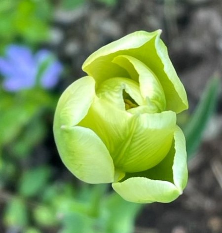 thumbnail_IMG_0319
