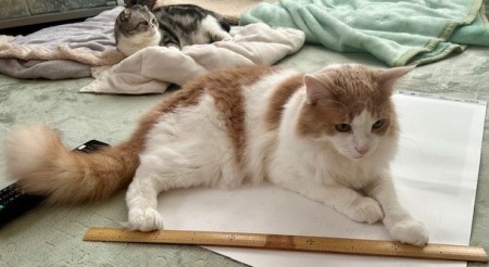 thumbnail_IMG_3023 (1)