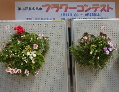 「猫だらけ」
