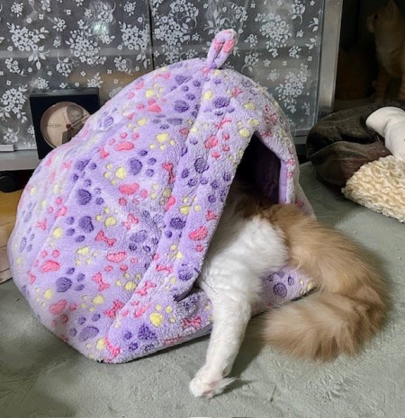 thumbnail_IMG_4228 (1)