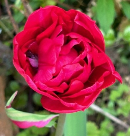 thumbnail_IMG_9931 (2)