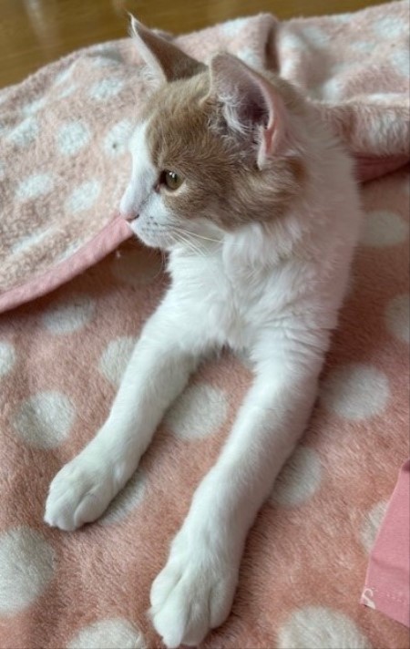 thumbnail_IMG_4893 (1)