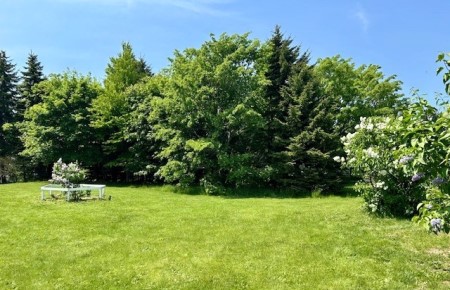 thumbnail_IMG_6889 (3)