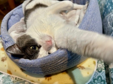 e9b78c37-e235-45ae-97eb-7cd05379dd08