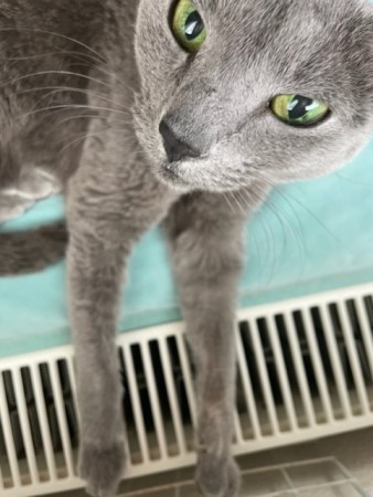 thumbnail_IMG_8927