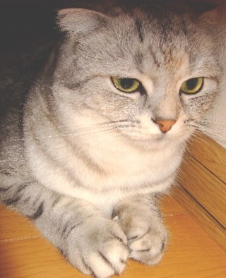 2007_10020045