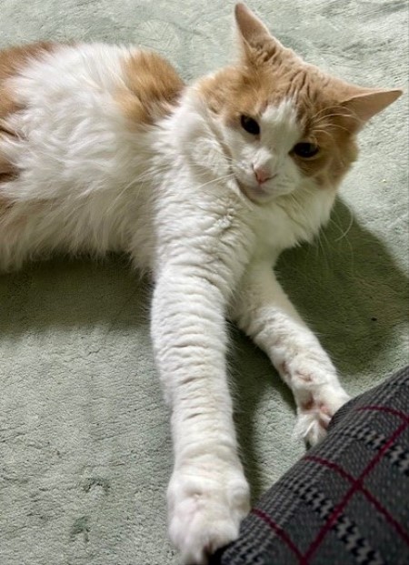 thumbnail_IMG_3091 (1)