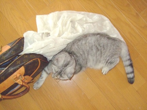 20070810204537
