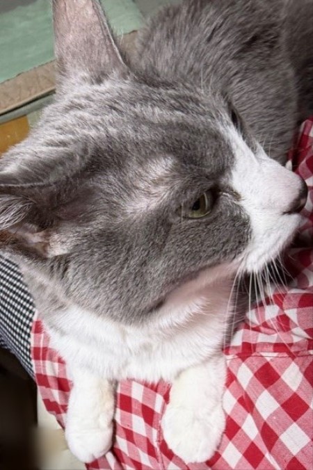 5e8cdea5-dfb0-4e8e-8b63-67cb5e0ae850