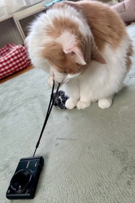 thumbnail_IMG_6357 (1)