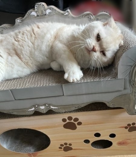 thumbnail_IMG_3351_1