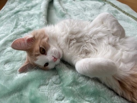 thumbnail_IMG_5592 (1)