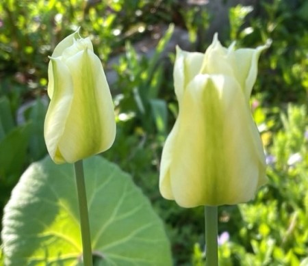 thumbnail_IMG_0480