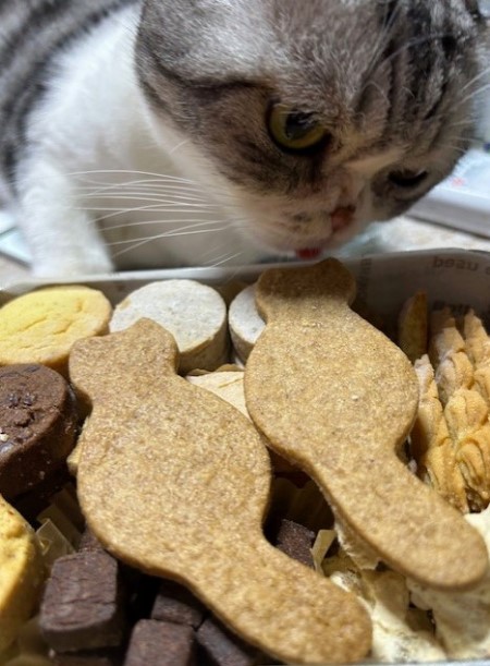 thumbnail_IMG_6943 (1)