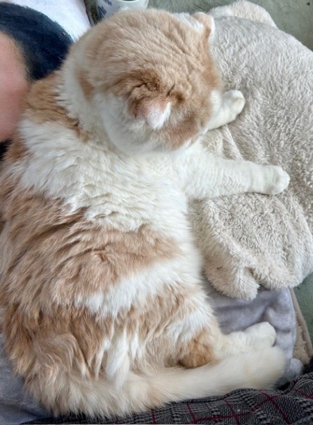 f4200c7c-6499-41d6-b065-198a8168eb80