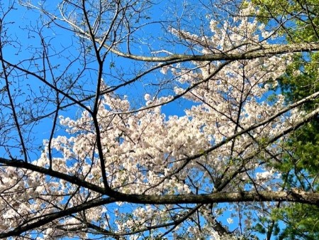 thumbnail_IMG_5610 (1)