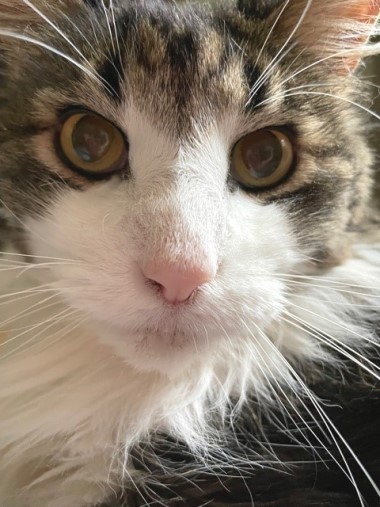 IMG_3340