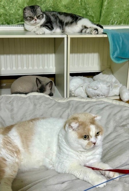 thumbnail_IMG_1452 (1)