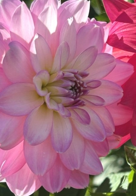 thumbnail_IMG_7981 (1)