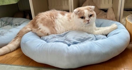 thumbnail_IMG_8412 (2)