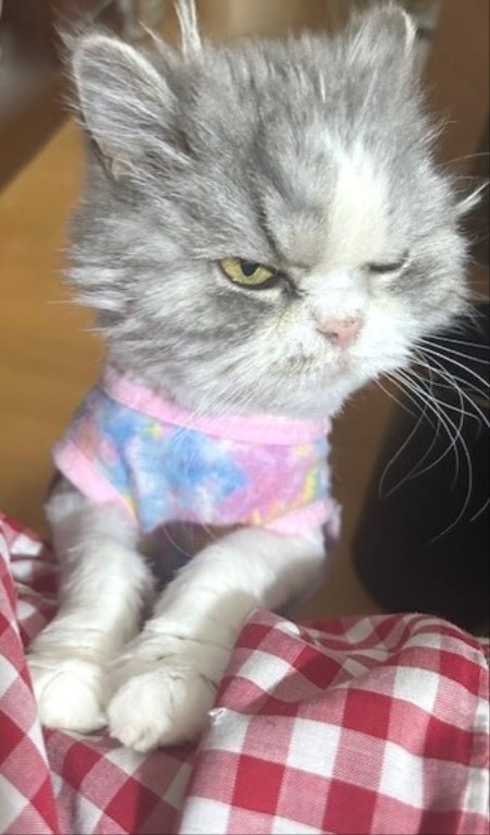 thumbnail_IMG_7831 (1)