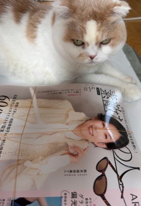 3c708352-6651-4a94-934c-b4c5782d7164_1