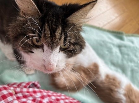 thumbnail_IMG_6007 (1)