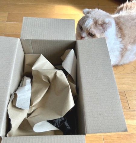 ねこ☆　BIGすのチル ずんどうネコ | 作品タイトル | 商品紹介 | 株式会社パレード