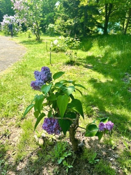 thumbnail_IMG_6928