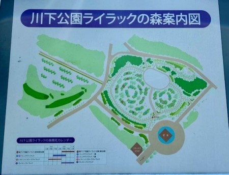 thumbnail_IMG_6807 (1)