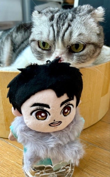 9d20cdc0-cc81-49f0-b888-b7a14ed6c22e