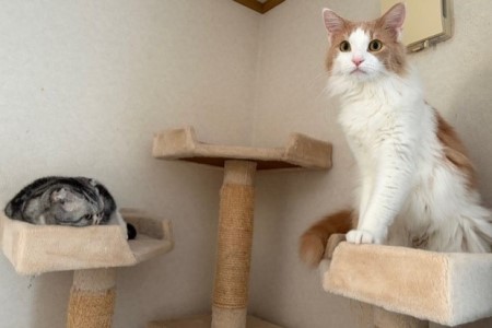 58314e92