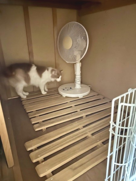 thumbnail_IMG_8489 (2)