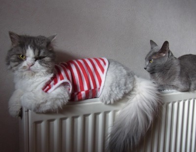 o0400031111741163296