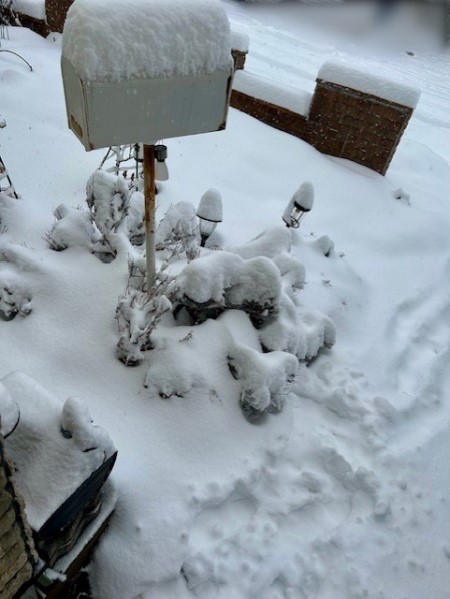 thumbnail_IMG_3600 (1)